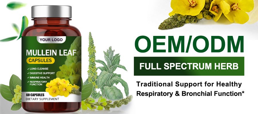 Mullein leaf capsules3